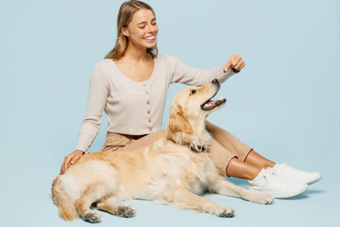 A artrite é uma doença que também pode afetar os animais (Imagem: ViDI Studio | Shutterstock) - (crédito: EdiCase) A artrite é uma doença que também pode afetar os animais (Imagem: ViDI Studio | Shutterstock) - (crédito: EdiCase)
