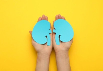 A hipertensão pode prejudicar seriamente a saúde dos rins (Imagem: New Africa | Shutterstock) -  (crédito: EdiCase)