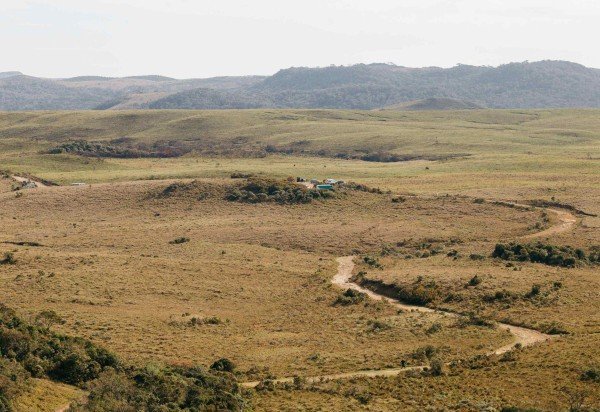 Jonathan Borba/Pexels