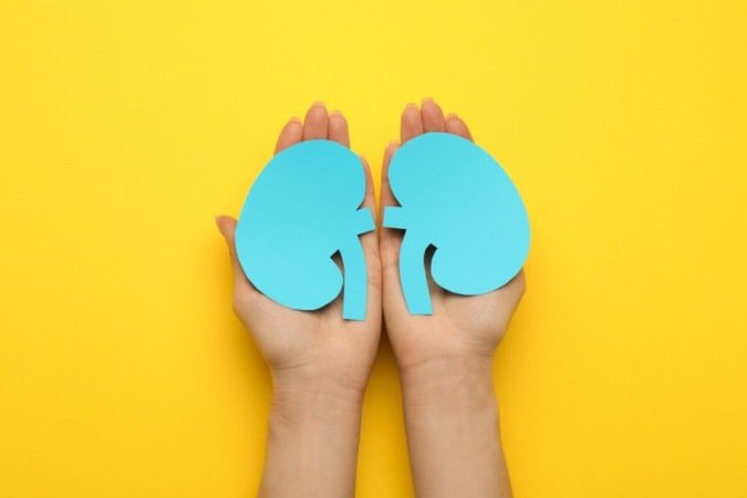 A hipertensão pode prejudicar seriamente a saúde dos rins (Imagem: New Africa | Shutterstock) -  (crédito: EdiCase)