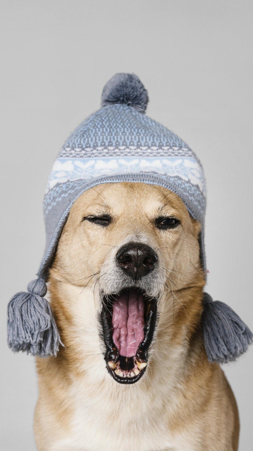 Frio -  (crédito: Pexels)