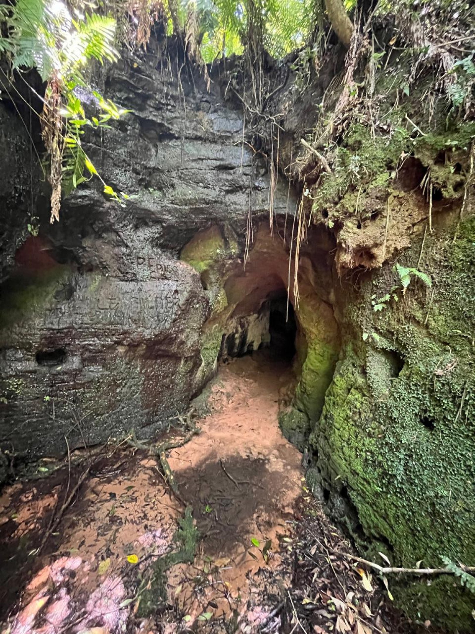 Paleotoca ou toca do tigre na coxilha da Almad&eacute;n