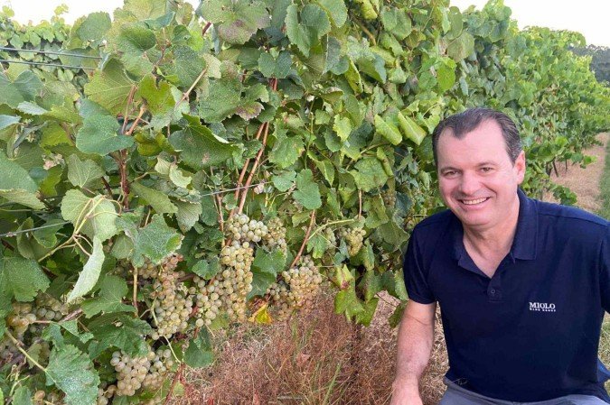 Adriano Miolo, superintendente do 
Grupo Miolo: investimento no enoturismo
