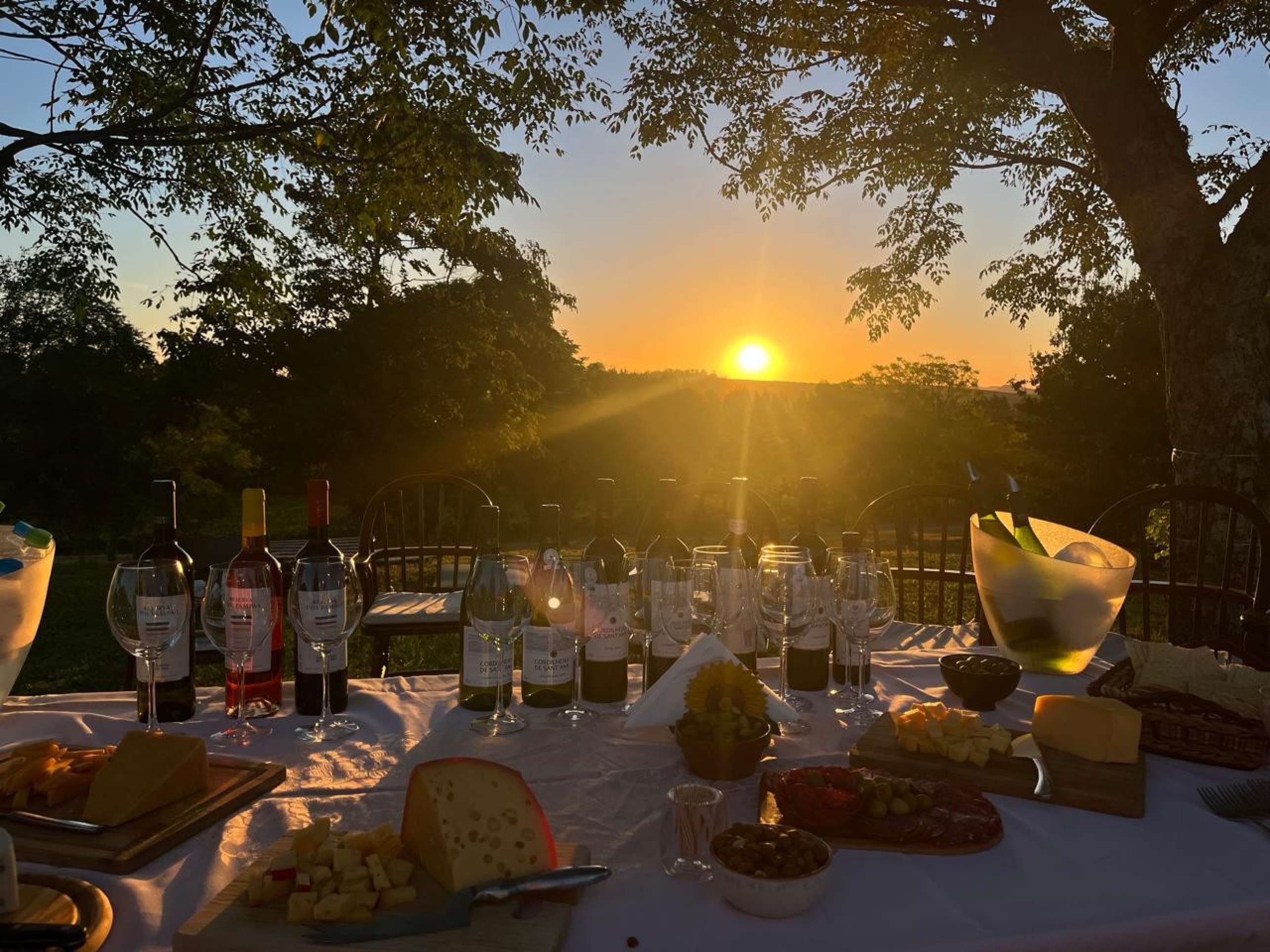 A vin&iacute;cola Cordilheira de Santana, pr&oacute;xima a Livramento, tem vista para o Cerro Palomas