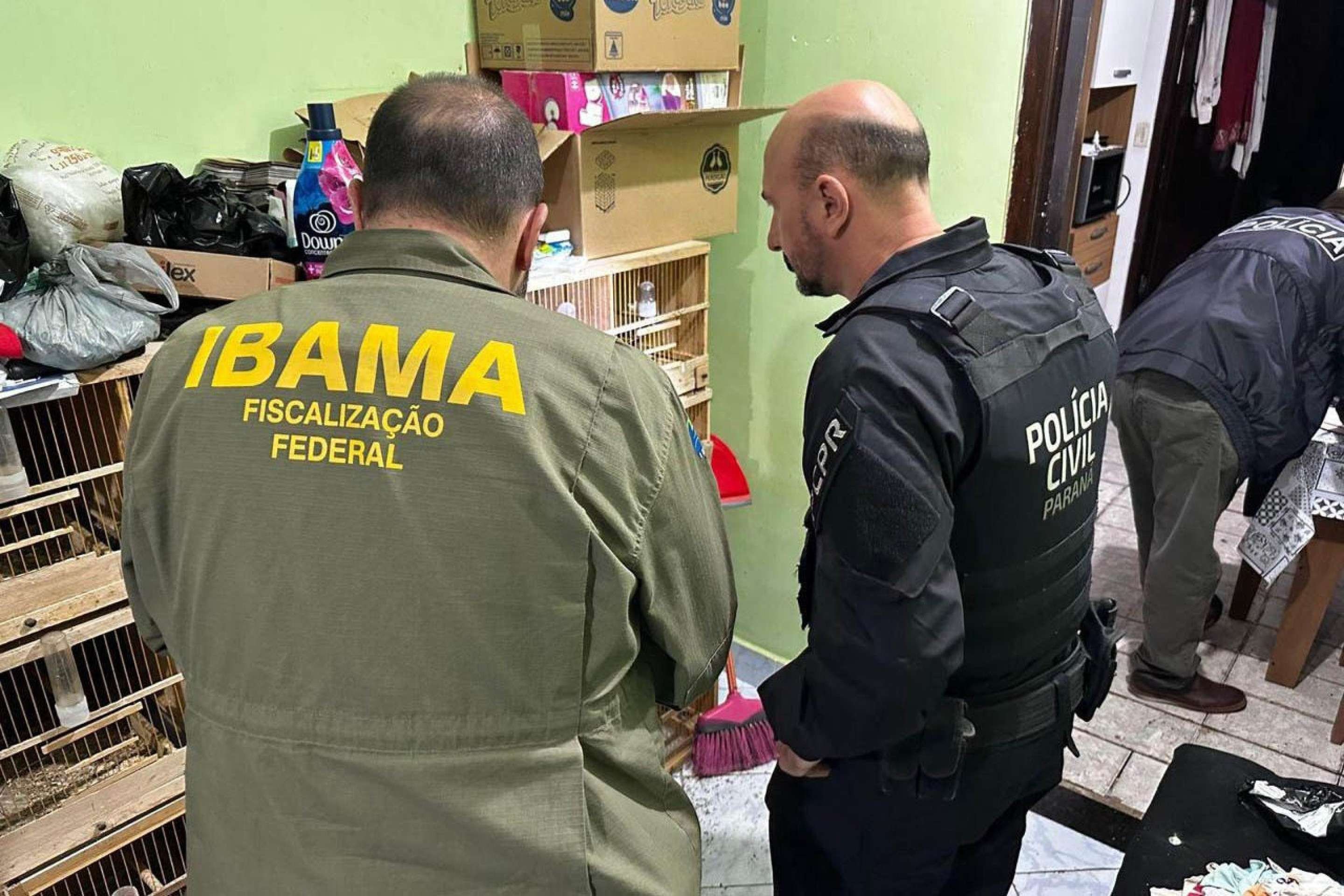 Esquema de tráfico internacional de animais silvestres e exóticos é descoberto após investigação de dois anos com agentes infiltrados 