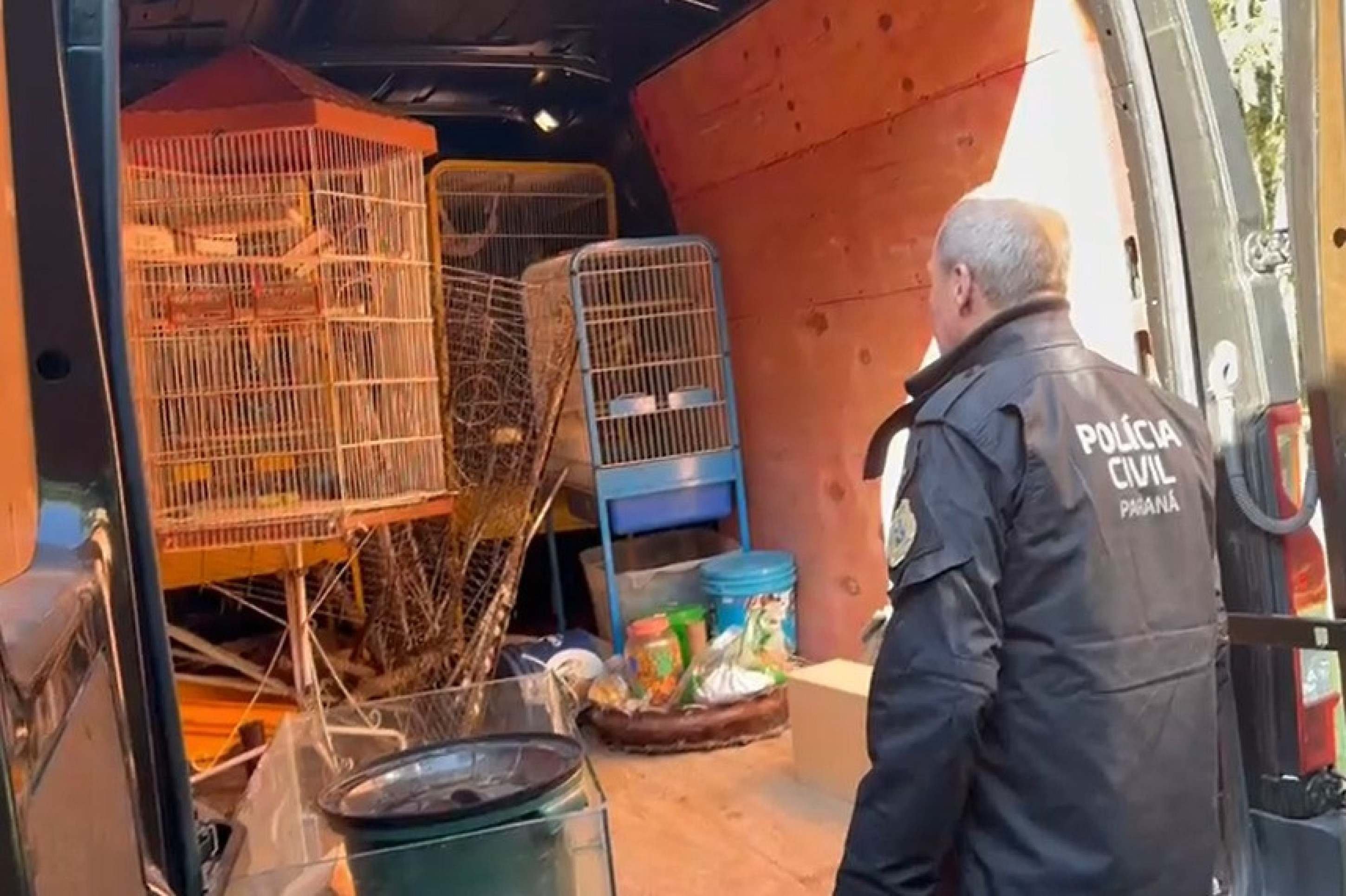 Esquema de tráfico internacional de animais silvestres e exóticos é descoberto após investigação de dois anos com agentes infiltrados 