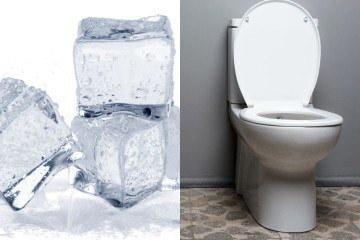 Truque caseiro ou mito da internet? Pedras de gelo no vaso prometem eliminar odores e melhorar a descarga. Veja se realmente funciona! -  (crédito: billion photos e themacx de Getty Images Signature)