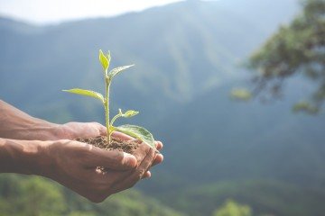 Saúde, clima e sustentabilidade: um chamado urgente para a transformação