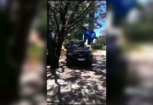 Reprodução/Redes sociais