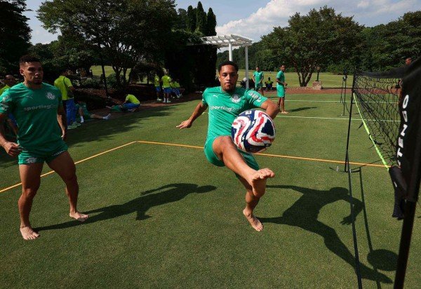 Cesar Greco/Palmeiras