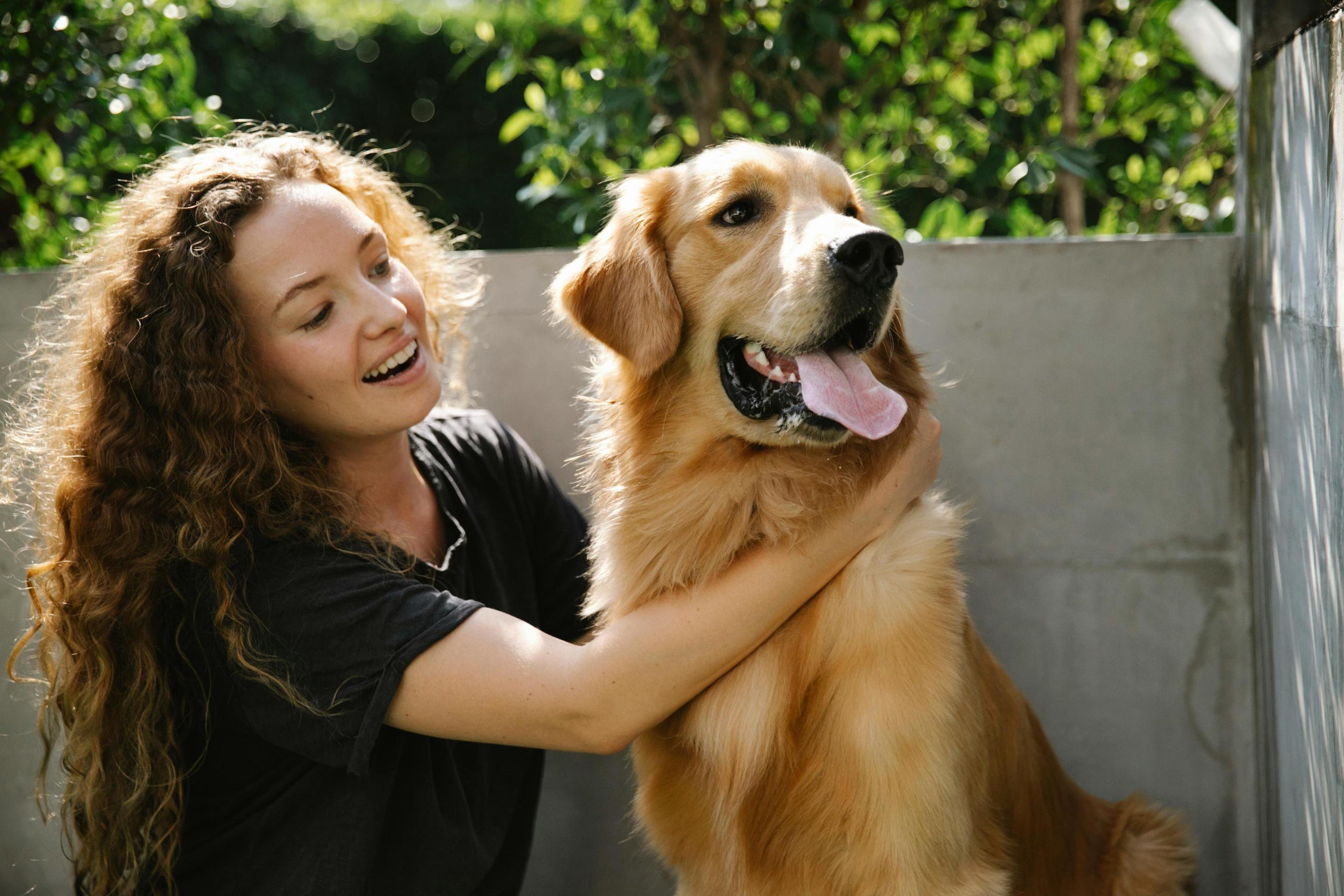 Cães e tutores podem compartilhar traços de personalidade, aponta estudo