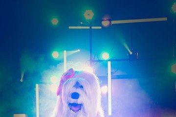 
TV Colosso — O musical
