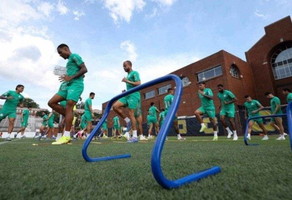 Foto: Cesar Greco/Palmeiras