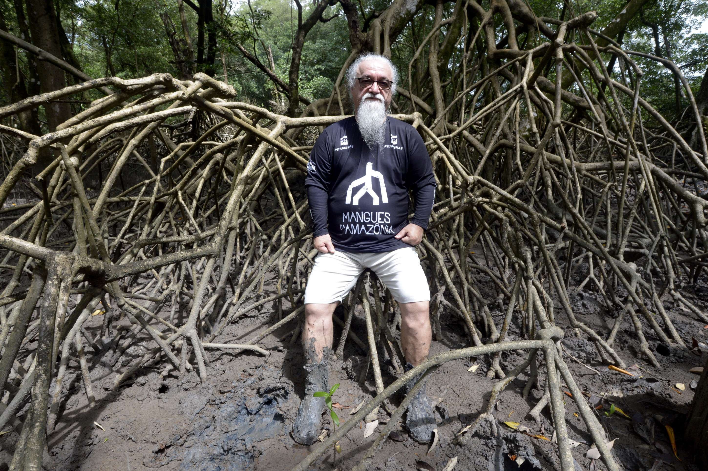 Mangue amazônico captura mais carbono que a floresta