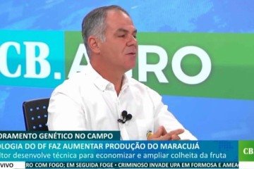 CB.Agro -  (crédito: Correio Braziliense)