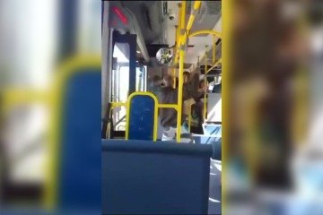 Durante a tentativa de fuga e no momento da contenção pelos populares, o agressor também sofreu escoriações -  (crédito: Material cedido ao Correio)