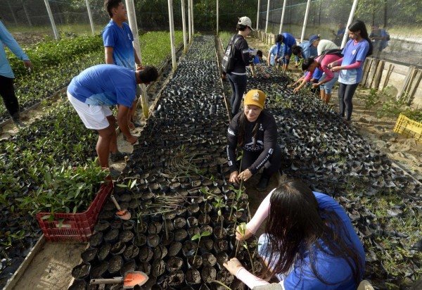 Marcelo Ferreira/CB/D.A Press