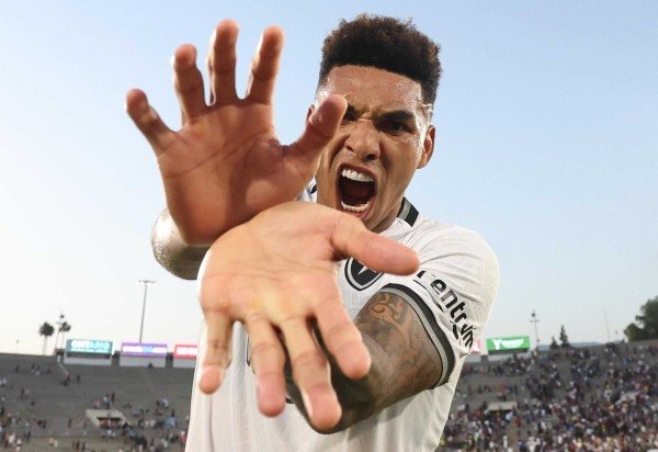 Vitor Silva/Botafogo