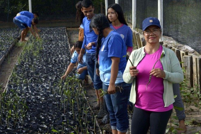  16/06/2025 Crédito: Marcelo Ferreira/CB/D.A Press. Brasil. Brasília - DF - Bragança ( Pará), Projeto Mangues da Amazônia. Siane Maria Ribeiro Pereira, professora de Lingua portuguesa, artes e de inglês com seus alunos no viveiro de mudas de mangue.