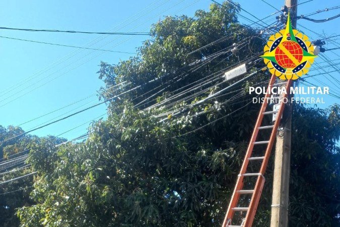 O suspeito foi localizado com um veículo carregado de fiação subtraída de vias públicas da região - (crédito: Divulgação/PMDF) O suspeito foi localizado com um veículo carregado de fiação subtraída de vias públicas da região - (crédito: Divulgação/PMDF)