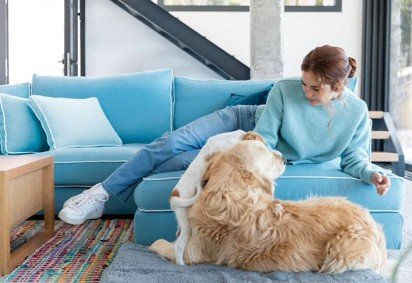 CACHORRO - A alergia referente ao contato entre as pessoas e os cães ocorre devido à substância chamada alérgeno, uma proteína expelida pelo pet. Ela se encontra no pelo, saliva, urina, e até em partículas invisíveis a olho nu . -  (crédito:  Imagem Freepik)