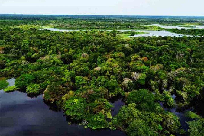 De acordo com o Programa das Nações Unidas para o Meio Ambiente (PNUMA), a Floresta Amazônica tem uma área de 6,92 milhões de quilômetros quadrados, ocupando 40% do território da América do Sul. 
 -  (crédito: Reprodução do X @abcdusp)