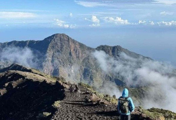 Reprodução Instagram @resgatejulianamarins