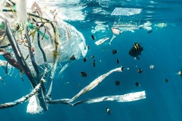oceano, poluição por plásticos -  (crédito: Naja Bertolt Jensen/Unsplash)