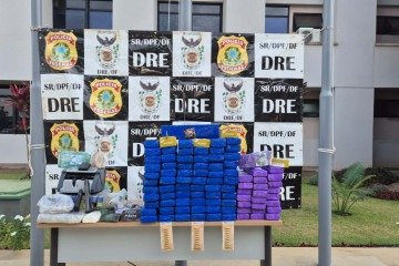 Droga foi apreendida em casa do Guará -  (crédito: PF/Divulgação)