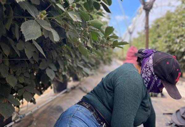 Leire Ventas / BBC News Mundo