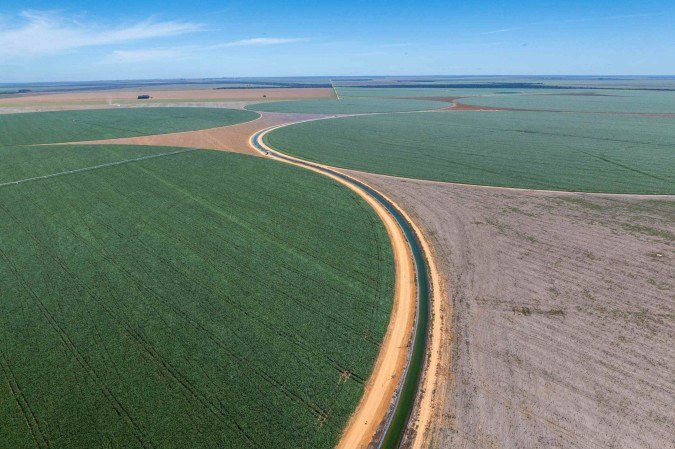 Plantação extensiva sobre o Cerrado impacta o volume hídrico - (crédito: André Dib/Ambiental Media) Plantação extensiva sobre o Cerrado impacta o volume hídrico - (crédito: André Dib/Ambiental Media)
