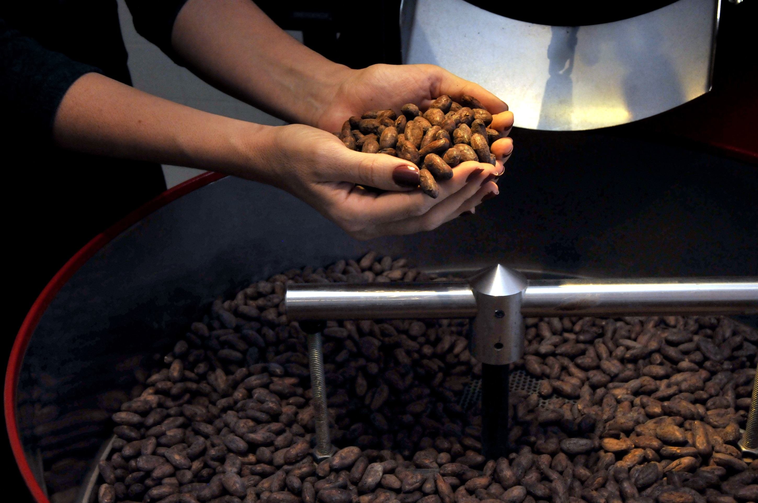 O cacau usado na LaBarr vem do sul da Bahia