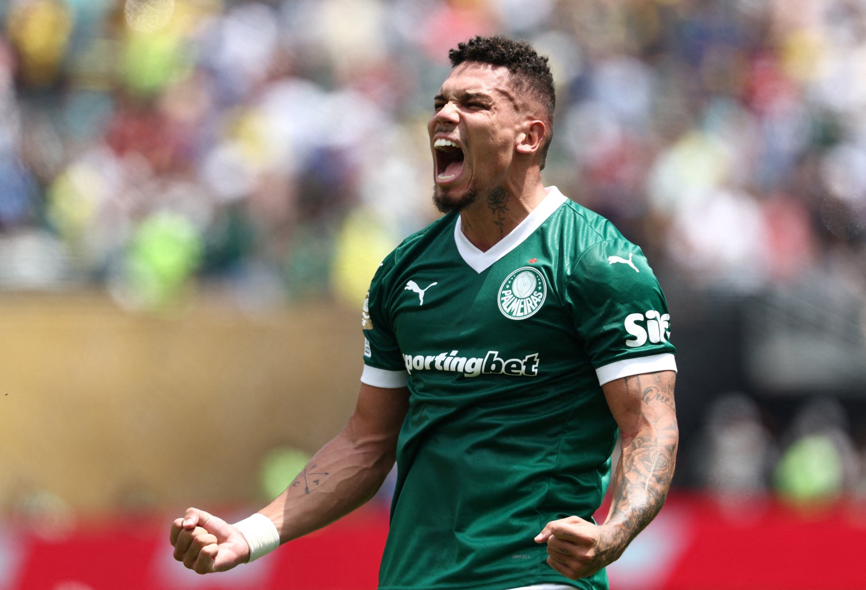 Sinal verde! Palmeiras elimina o Botafogo e está nas quartas da Copa