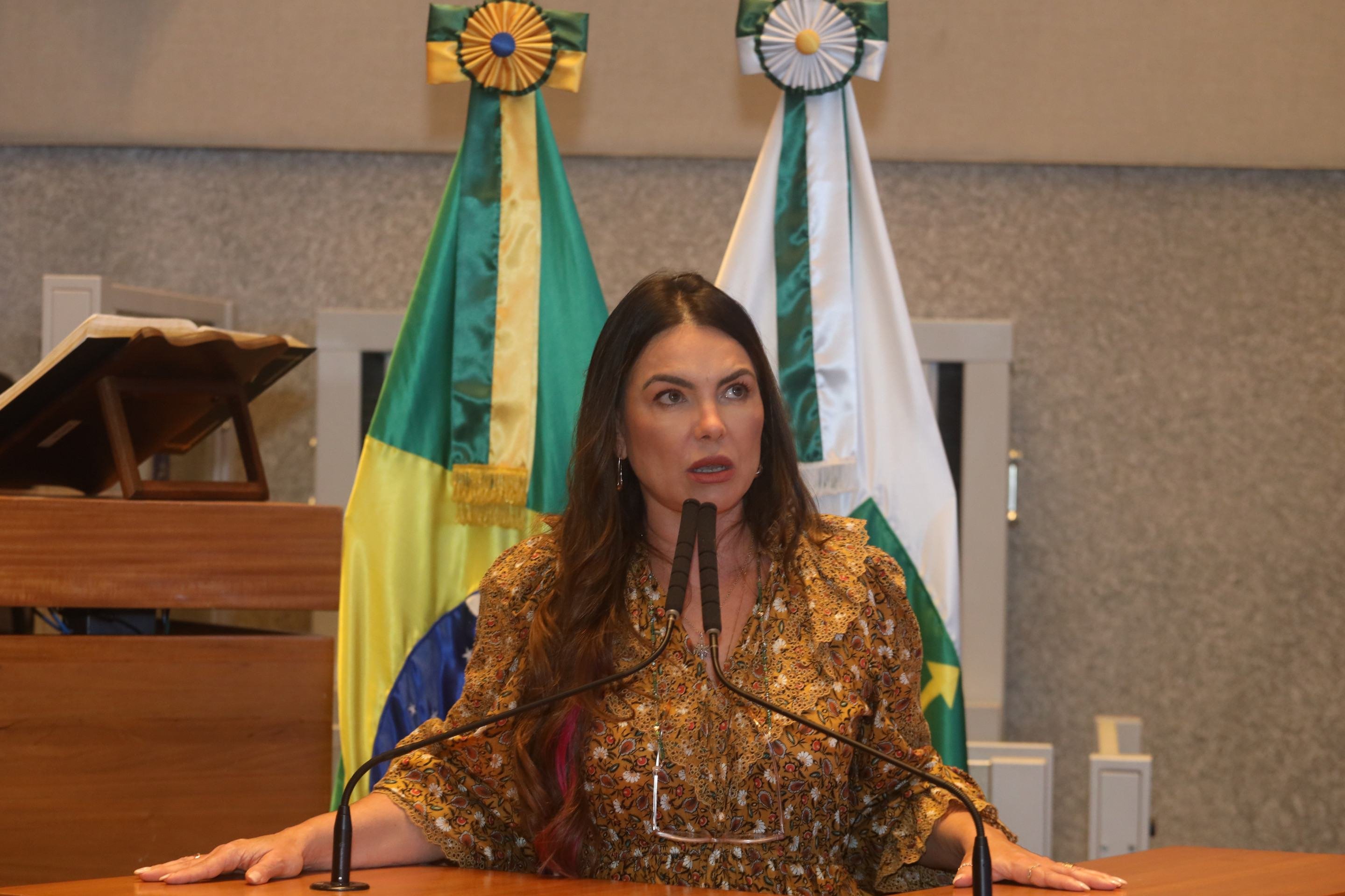 "O mandato parlamentar não é um escudo para a impunidade", afirmou a deputada distrital Paula Belmonte 