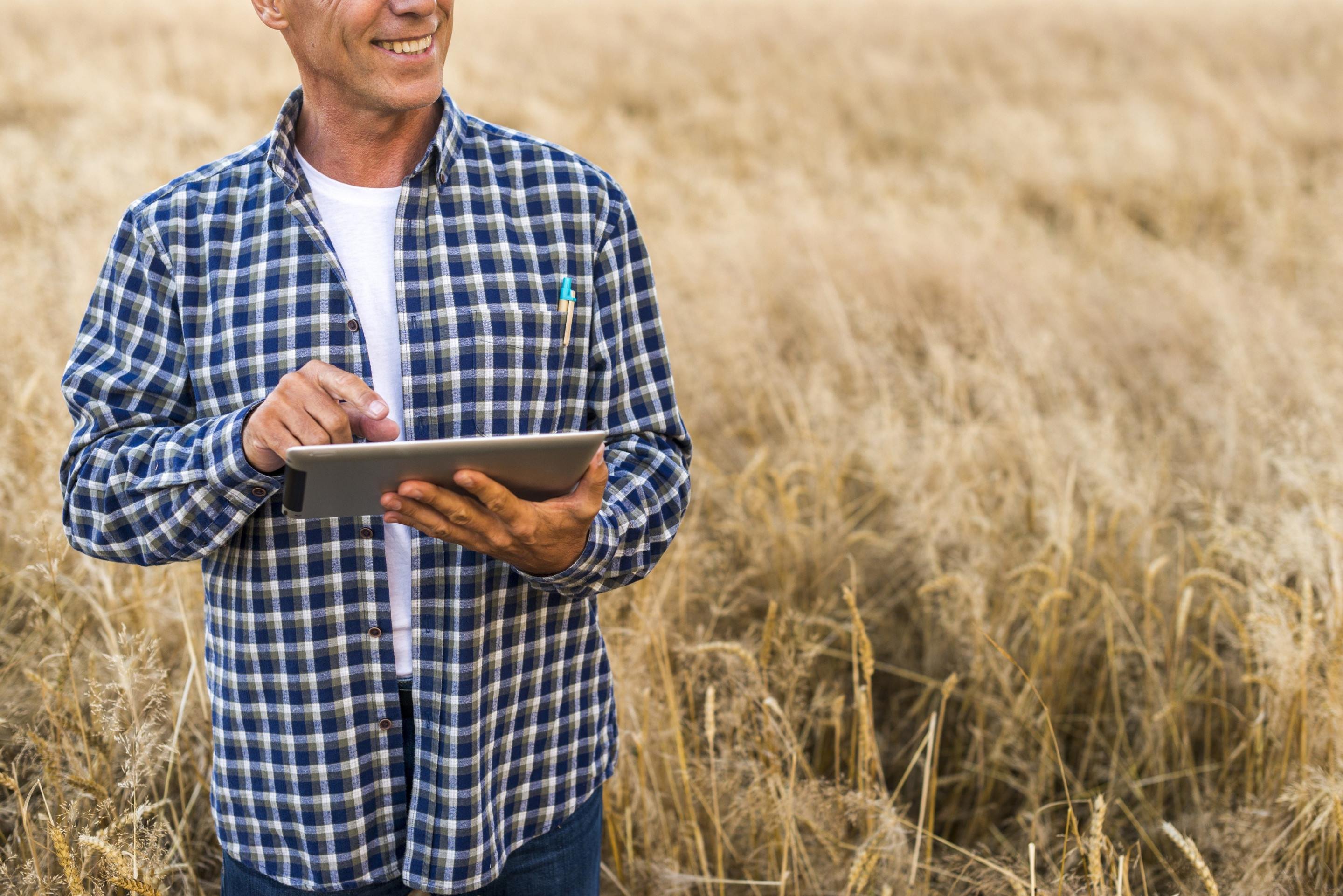 Pagamento rural exige atenção à segurança jurídica -  (crédito: DINO)