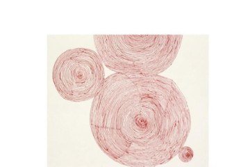 A nova reedição de O Peso do Pássaro Morto, pela Companhia das Letras, foi lançada em junho deste ano