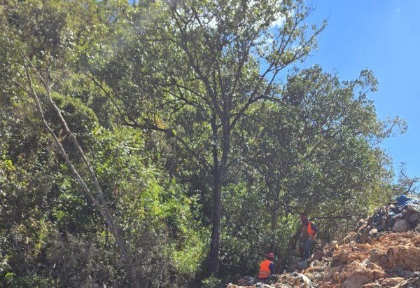 Material cedido ao Correio