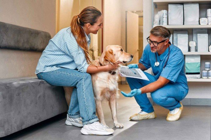 Escolher um bom veterinário é importante para a qualidade de vida do animal (Imagem: ORION PRODUCTION | Shutterstock) - (crédito: EdiCase) Escolher um bom veterinário é importante para a qualidade de vida do animal (Imagem: ORION PRODUCTION | Shutterstock) - (crédito: EdiCase)