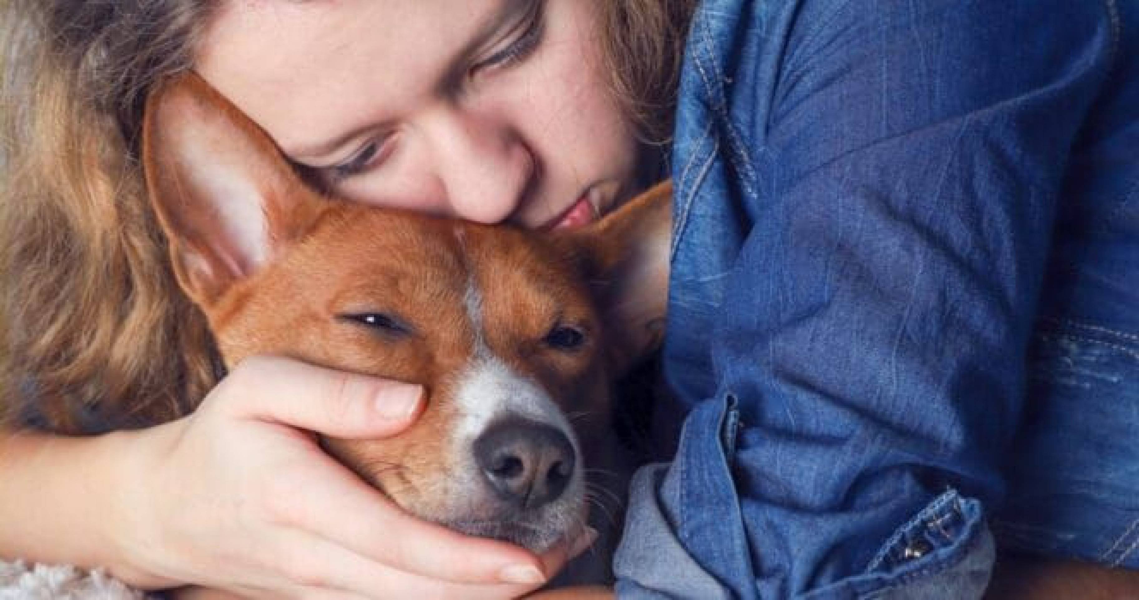 Muito além do companheirismo! O papel dos animais no bem-estar mental Muito além do companheirismo! O papel dos animais no bem-estar mental