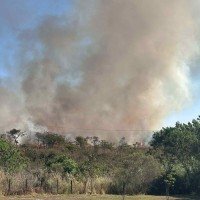 Incêndio de grandes proporções na QI 21 do Lago Sul -  (crédito: Tais Braga/Divulgação)