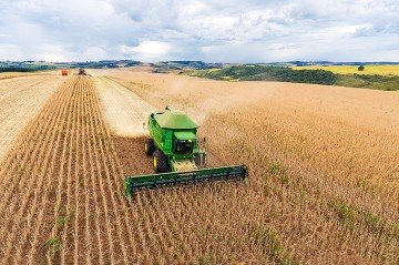 Quando se compara o primeiro trimestre de 2025, em relação ao último trimestre de 2024, a agropecuária cresceu 12,2% e isso impulsionou o avanço de 1,4% Produto Interno Bruto (PIB) no período. -  (crédito: Divulgação/Governo de Santa Catarina)