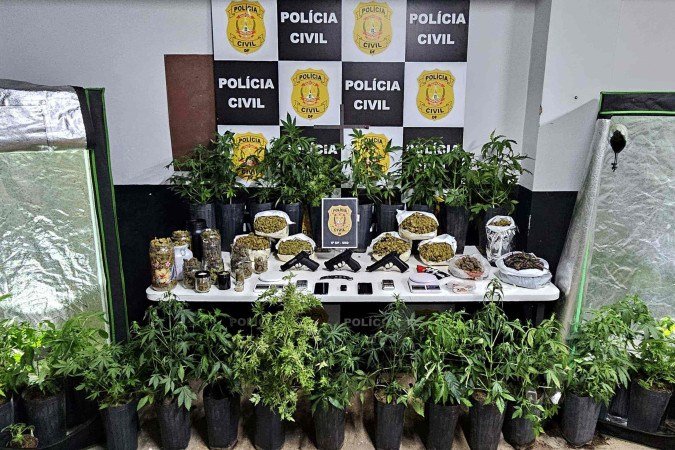 Droga foi apreendida em sítio do Paranoá -  (crédito: PCDF/Divulgação)