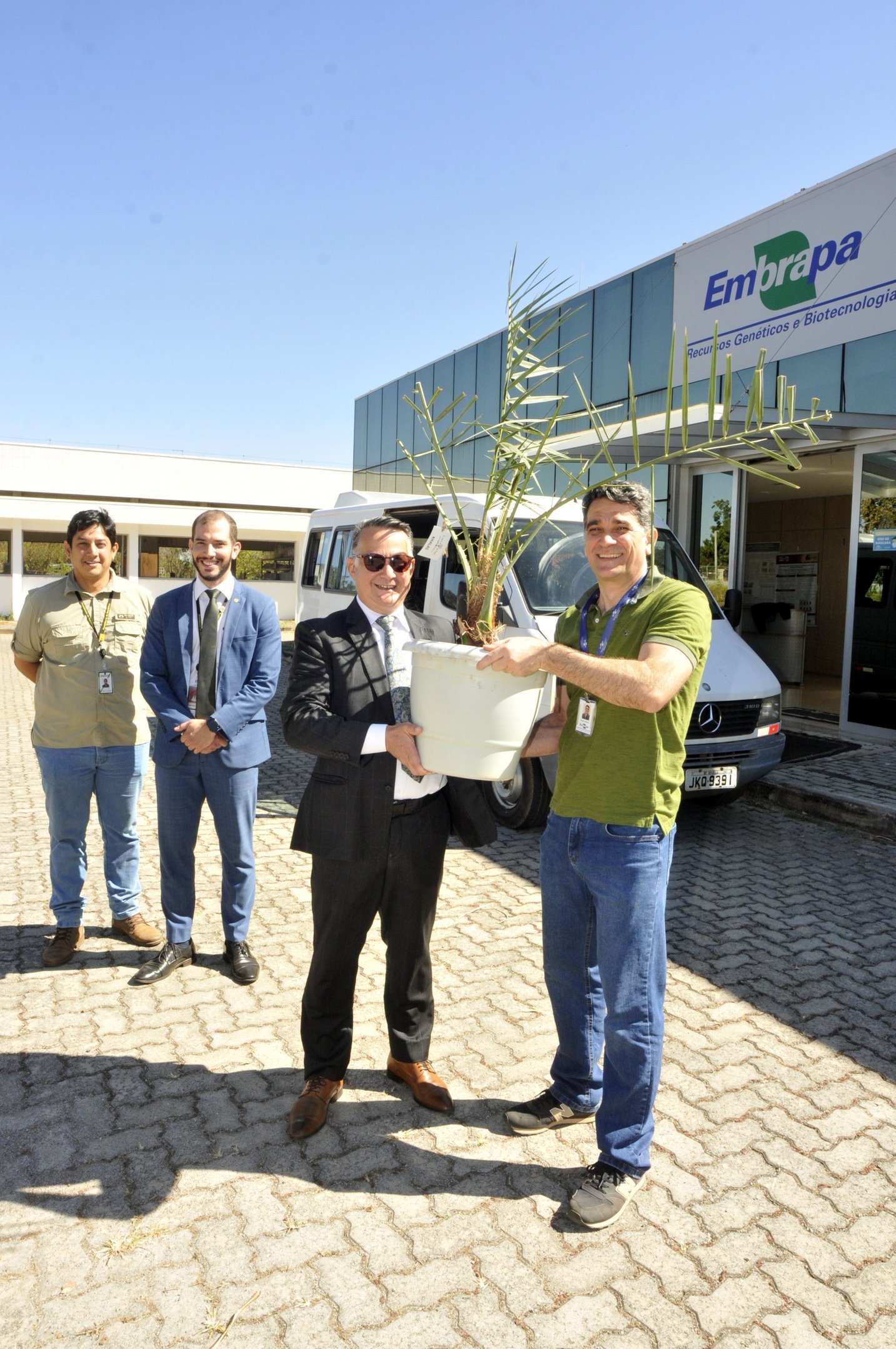 Embrapa monitora espécies vegetais exóticas para evitar pragas