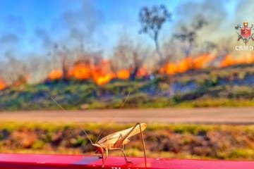 O fogo começou às margens da Saída Norte, nas proximidades da Granja do Torto - (crédito: Divulgação/CBMDF) O fogo começou às margens da Saída Norte, nas proximidades da Granja do Torto - (crédito: Divulgação/CBMDF)