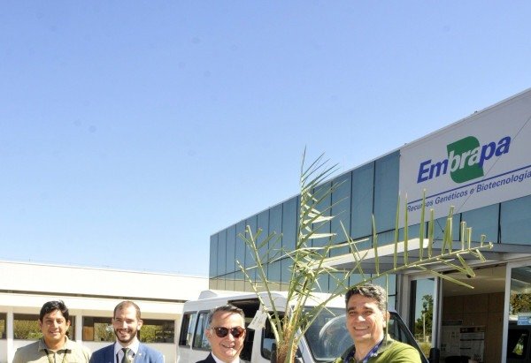  Marcelo Ferreira/CB/D.A Press