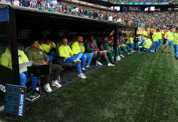 Cesar Greco/Palmeiras