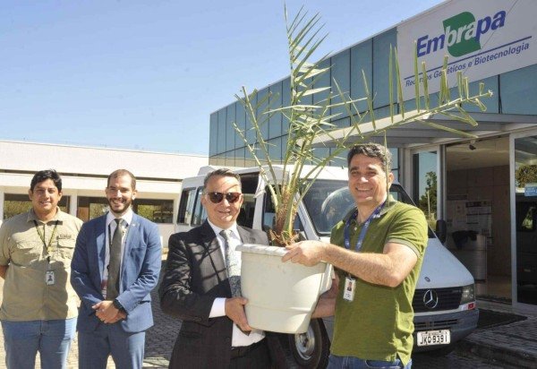 Marcelo Ferreira/CB/D.A Press