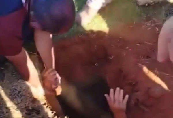 Material cedido ao Correio