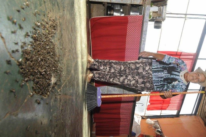 Joana Santana varre incontáveis vezes as moscas que empesteiam o lugar e caem por causa do lixo