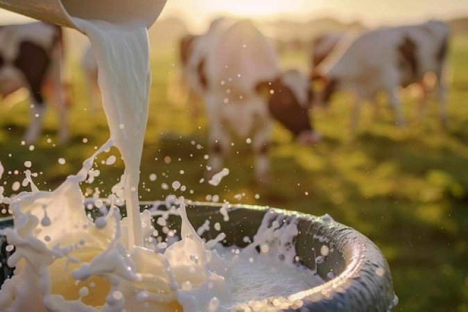 A queda de produção de leite chega a 10% e, em clima mais ameno, as matrizes superam parcialmente as perdas, no máximo em 40% - (crédito: Freepik) A queda de produção de leite chega a 10% e, em clima mais ameno, as matrizes superam parcialmente as perdas, no máximo em 40% - (crédito: Freepik)